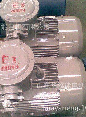 防爆电机BM电机XDM2-132M1-6-4电机替ExdⅡBT4，RAL5010亚光漆
