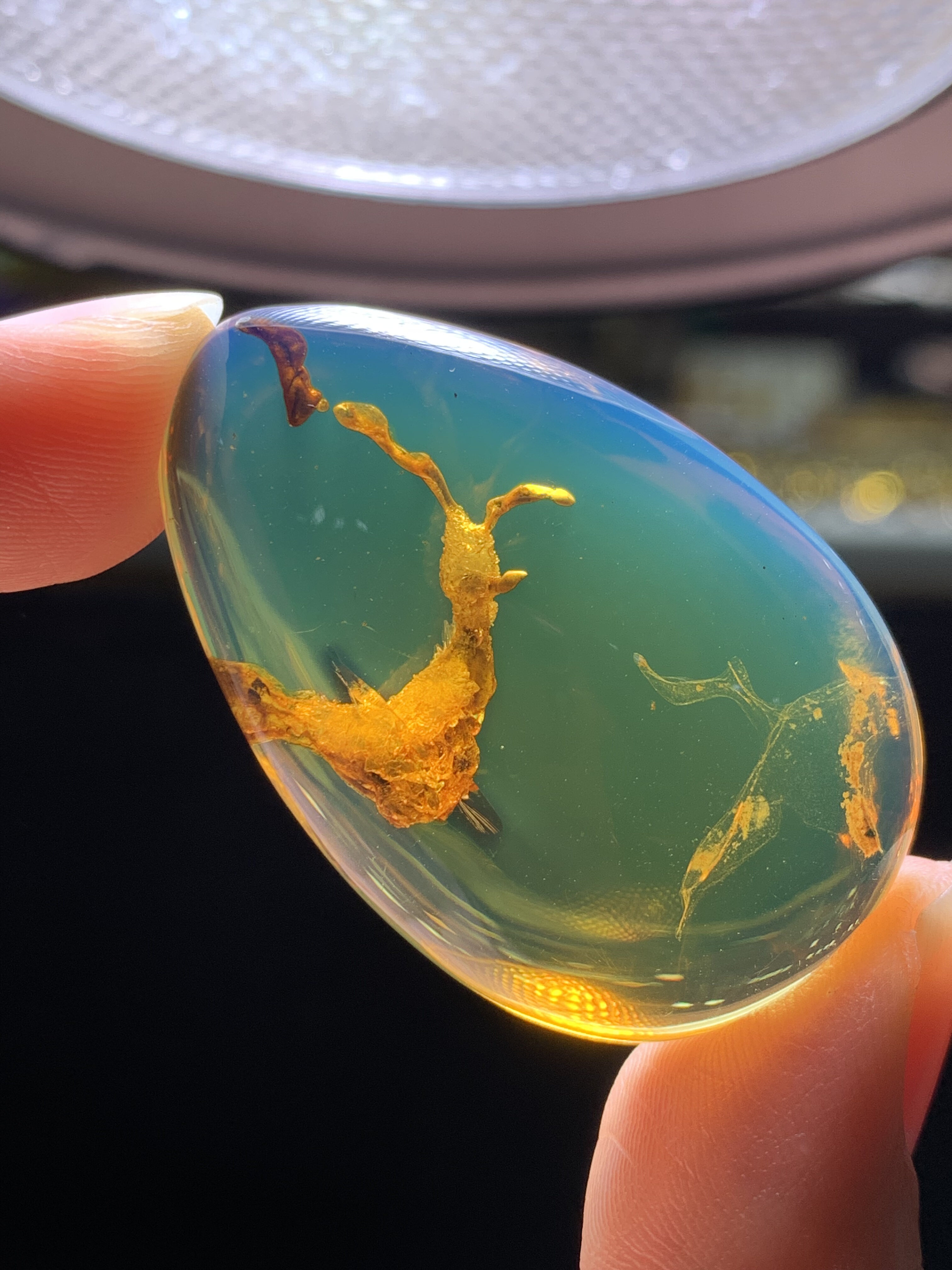 缅甸琥珀植物意境珀9克