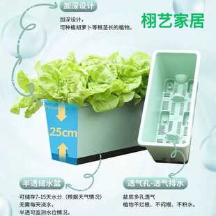 阳台25CM深长方形种菜盆草莓盆萝卜盆自吸水盆家庭果蔬种植盆神器