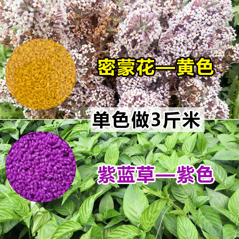 广西五色糯米饭纯天然植物染料
