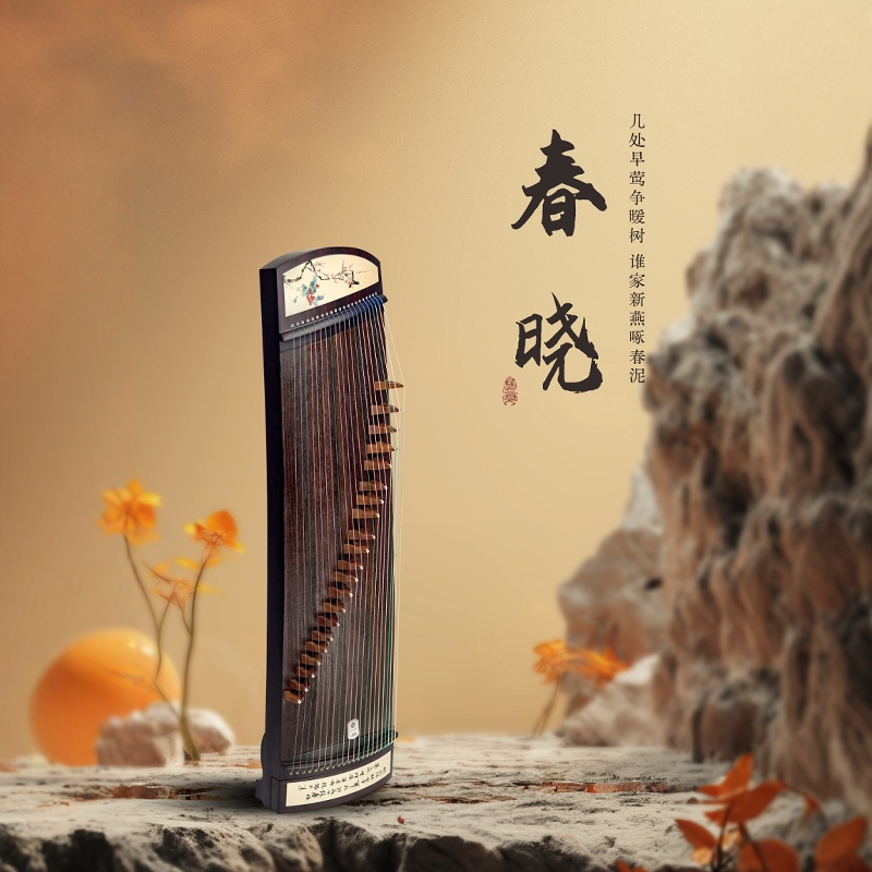 入门小筝便携古筝中弘儿童考级