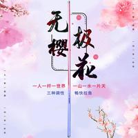 无极樱花鲤年度宠粉福利猛男粉超轻超硬19调高碳素大物竿台钓竿