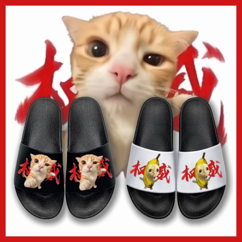猫咪权威拖鞋夏季儿童室内新款男女童外穿居家外出防滑软底一字拖