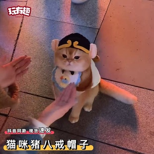 猫咪猪八戒帽子露耳朵搞笑宠物猪咪西游记周边唐僧小配饰毛线头套