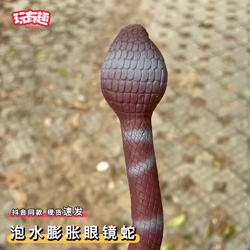 泡水膨胀眼镜蛇整蛊玩具超大吸水变大史前巨鳄蜥蜴仿真动物模型