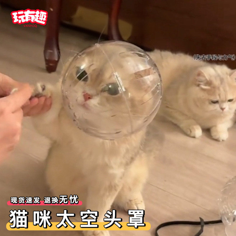 猫咪太空头罩剪指甲洗澡防咬舔打架伊丽莎白圈小猫安静头套头圈,宠物/宠物食品及用品,宠物伊丽莎白圈,淘宝优惠券,粉丝福利购,淘宝优惠卷