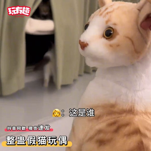 整蛊假猫玩偶仿真暹罗猫狸花橘猫咪坐姿毛绒公仔趴姿超逼真模型
