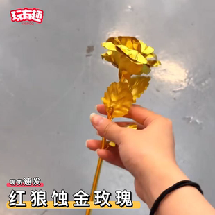 红狼蚀金玫瑰三角洲行动周边24k外骨骼模型裸花来DIY金箔玫瑰花