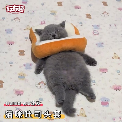 猫咪吐司头套伊丽莎白圈猫绝育项圈可调节小猫狗狗防抓防舔咬项圈