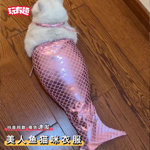 美人鱼猫咪衣服泳装鱼尾巴比基尼小型宠物猫猫鱼尾连体服搞笑服装