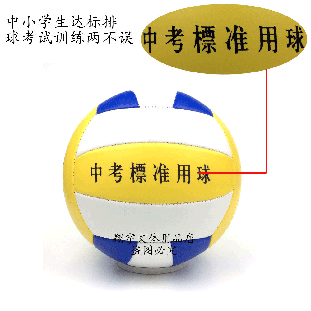 Ballon de volley - Ref 2010457 Image 3