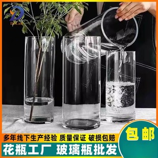 适合插雪柳的花瓶玻璃透明插花水养水培富贵竹直筒客厅摆件风高级