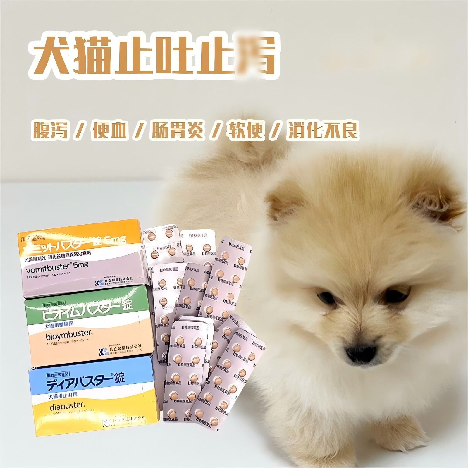 日本共立整肠宠物止吐止写犬猫焱益生菌急性肠狗软便调理消化不良