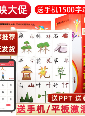 直映认字正版全套直映识字幼儿园儿童宝宝早教启蒙看图认字卡片