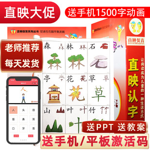 直映认字正版 全套直映识字幼儿园儿童宝宝早教启蒙看图认字卡片