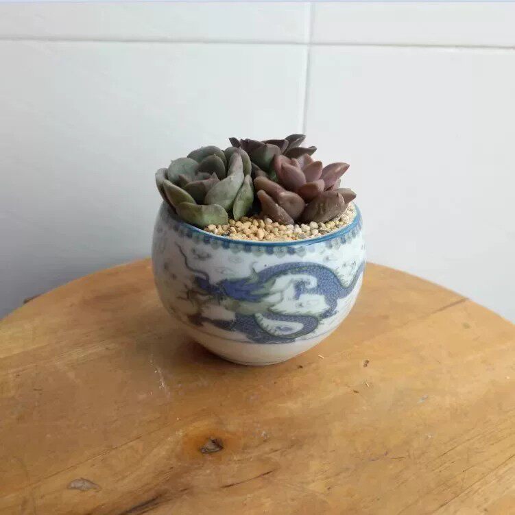 陶瓷蛋形圆球多肉植物小花盆
