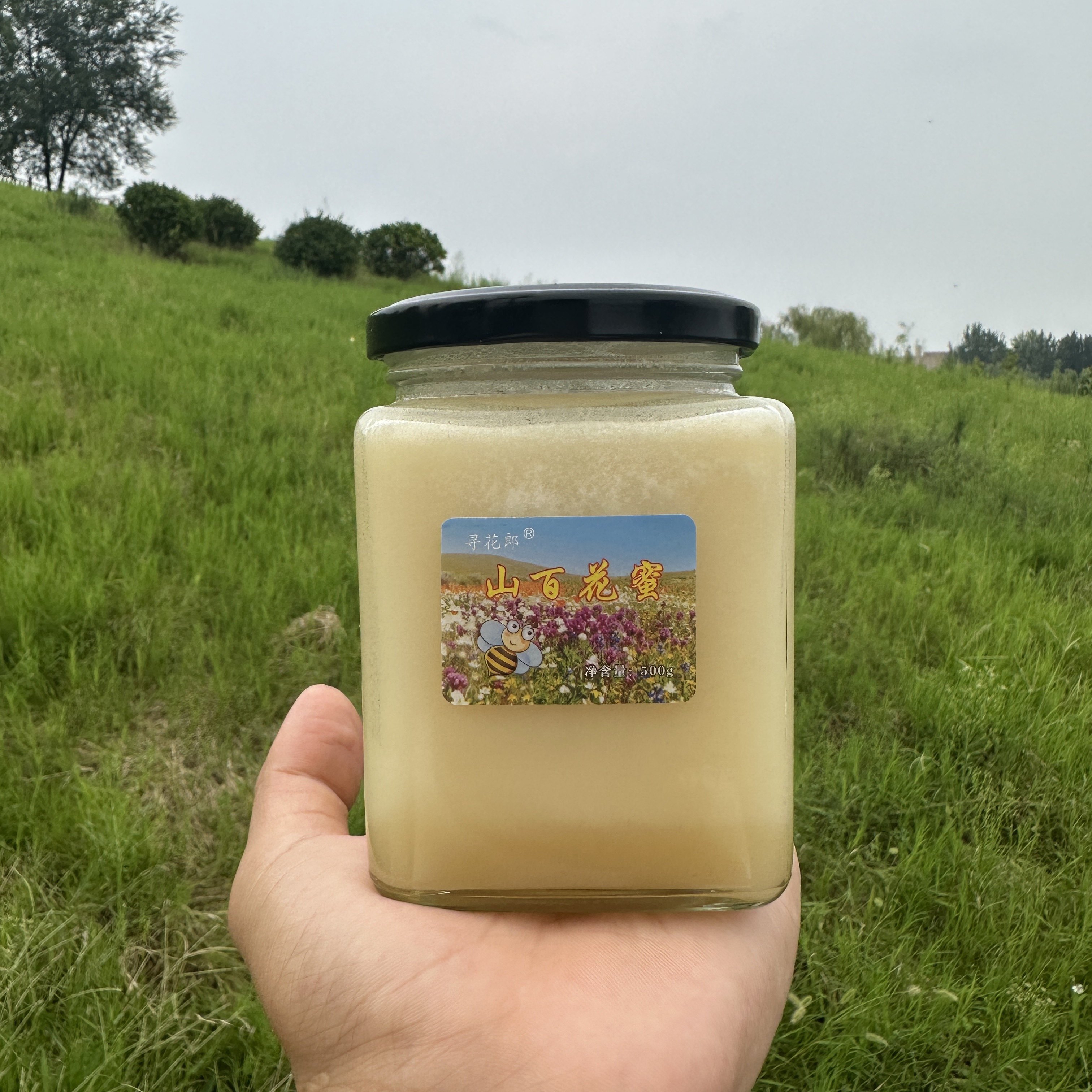 海拔3000米以上高原百花蜜