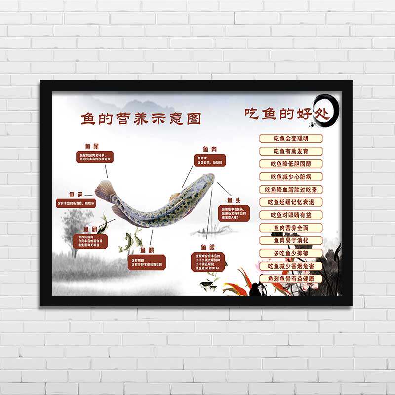 鱼的营养示意图/吃鱼的好处饭店餐馆农家乐黑鱼装饰挂画壁画ys979