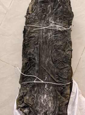 山东威海荣成干海带网菜板菜去尾前中段出口菜昆布500克