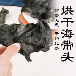 山东威海荣成烘干海带头海带根不加盐高倍泡发500克
