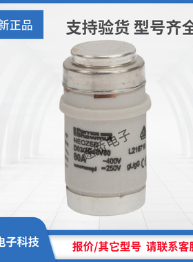 议价罗兰D型熔断器全新L216716/D03GG40V80 N212647/D03GG40V100