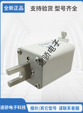 原装巴斯曼Bussmann熔断器170M3191 170M3192 170M3193 170M3194