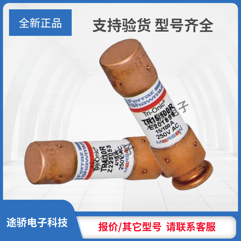 议价TR1/10R TR1/8R TR15/100R TR2/10R TR1/4R TR3/10R熔断器