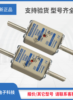 议价罗兰G223727/NH2GG40V100 H223728/NH2GG40V125美尔森熔断器