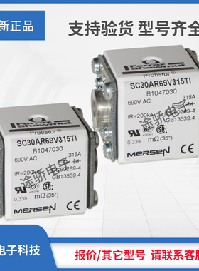 议价Z1047028/SC30AR69V200TI A1047029/SC30AR69V250TI熔断器