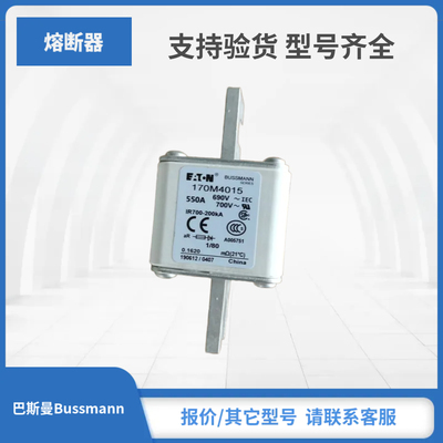 Bussmann熔断器保险丝现货170M4013 170M4014 170M4015 170M4016