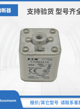 170M3675 170M3678 170M3408全新现货Bussmann熔断器保险丝包邮