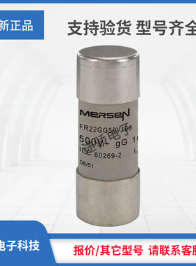 议价罗兰熔断器E218205/FR22GG50V100 J219773/FR22GG50V125现货