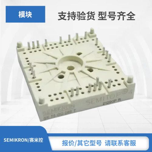 SK50DGDL066T SK75DGDL066T SK100DGDL066T西门康赛米控IGBT模块