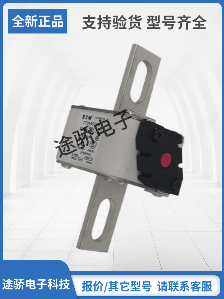 巴斯曼熔断器型号齐全