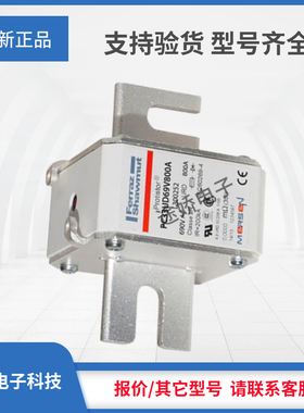 T302168/PC33UD69V450A G300248/PC33UD69V500A 罗兰快速熔断器