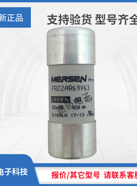 议价F1056671/FR22AR69V63T G1056672/FR22AR69V80T全新熔断器