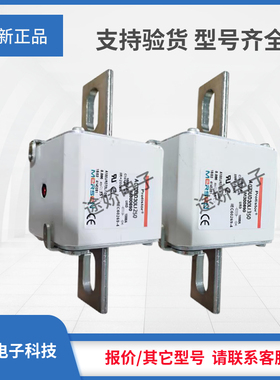 美尔森罗兰熔断器E301925/A070UD30KI50 B300128/A070UD30KI63
