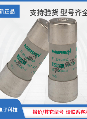 议价美尔森罗兰熔断器E215652/FR22AM69V1P J216162/FR22AM69V2P
