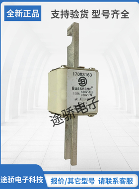 170M3160 170M3161 170M3162 170M3163原装巴斯曼Bussmann熔断器