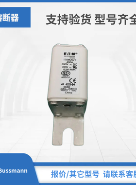 170M2619 170M2620 170M2621 170M3058巴斯曼Bussmann熔断器现货