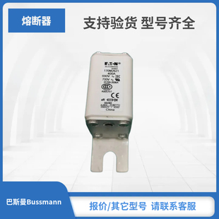 170M3058巴斯曼Bussmann熔断器现货 170M2621 170M2619 170M2620