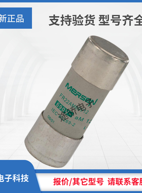 议价罗兰熔断器现货T211042/FR22AM69V12 M211565/FR22AM69V16