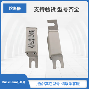 170M1321 170M1320 现货巴斯曼Bussmann熔断器170M1318 170M1319