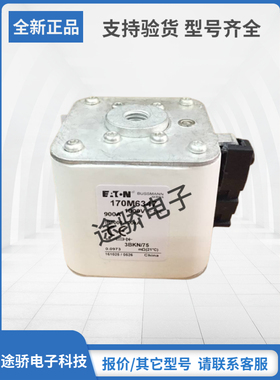 170M6366 170M6367 170M6368原装巴斯曼Bussmann熔断器型号齐全