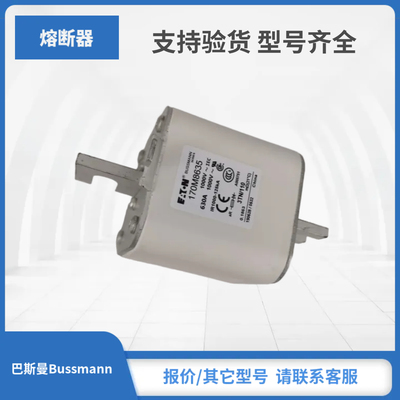 现货巴斯曼Bussmann熔断器170M8631 170M8632 170M8633 170M8634
