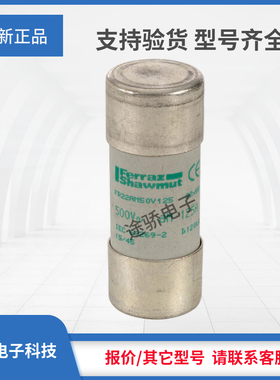 议价美尔森熔断器Y217693/FR22AM50V100 J218209/FR22AM50V125