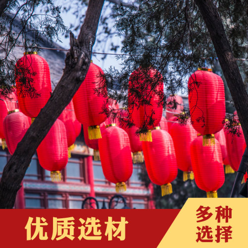 定做广告绸缎舞蹈道具冬瓜灯笼
