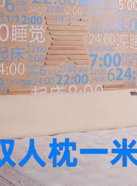 Bemco宾格专柜亲水棉一米五双人枕慢回弹太空记忆枕护颈枕成人