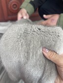 大码 专享高订原创水貂色板定制貂皮大衣整貂原材料私人订做皮料