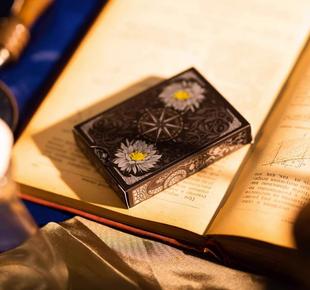 默默纸牌台湾产昙花 Epiphyllum关于花切出品精美手绘插画扑克牌